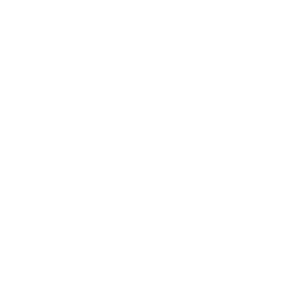 DDPAI