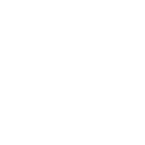 Buzzhype Motorsport