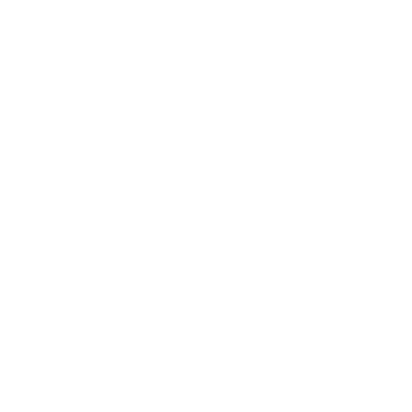 The Zodiacs